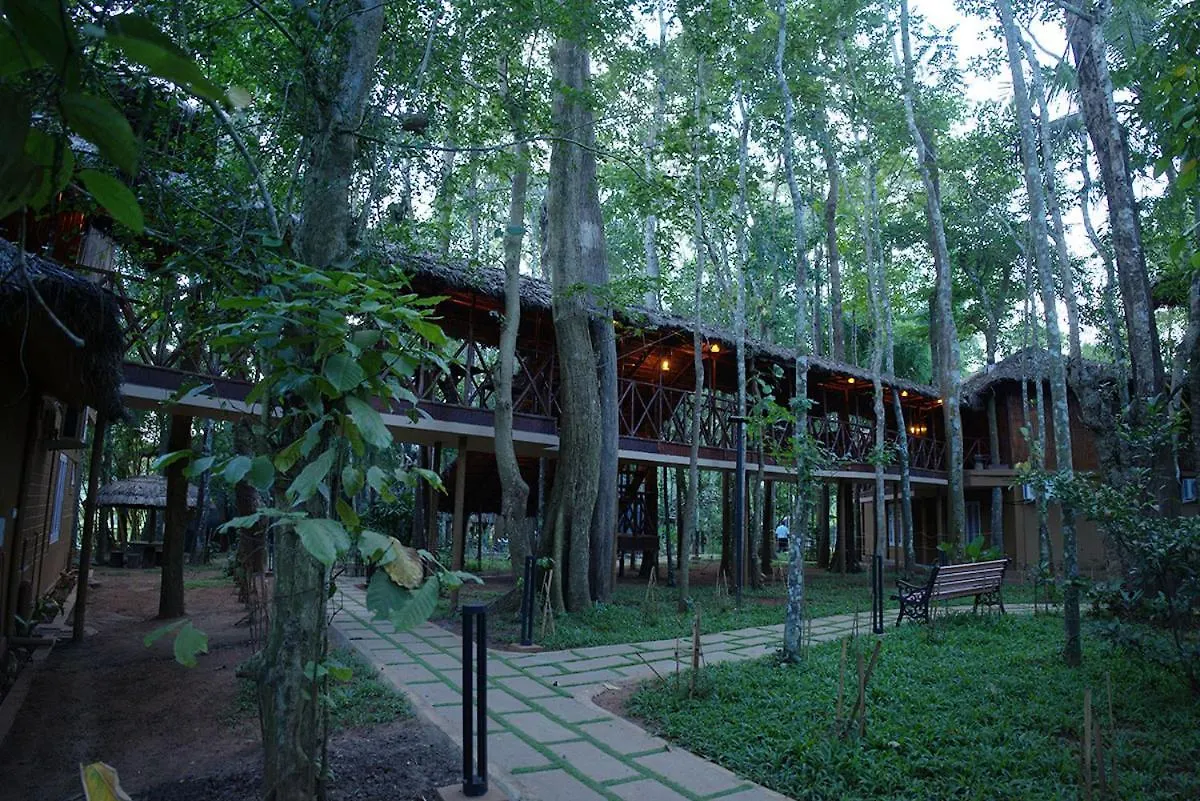 Mystery Maze Resort And Spa Wayanad