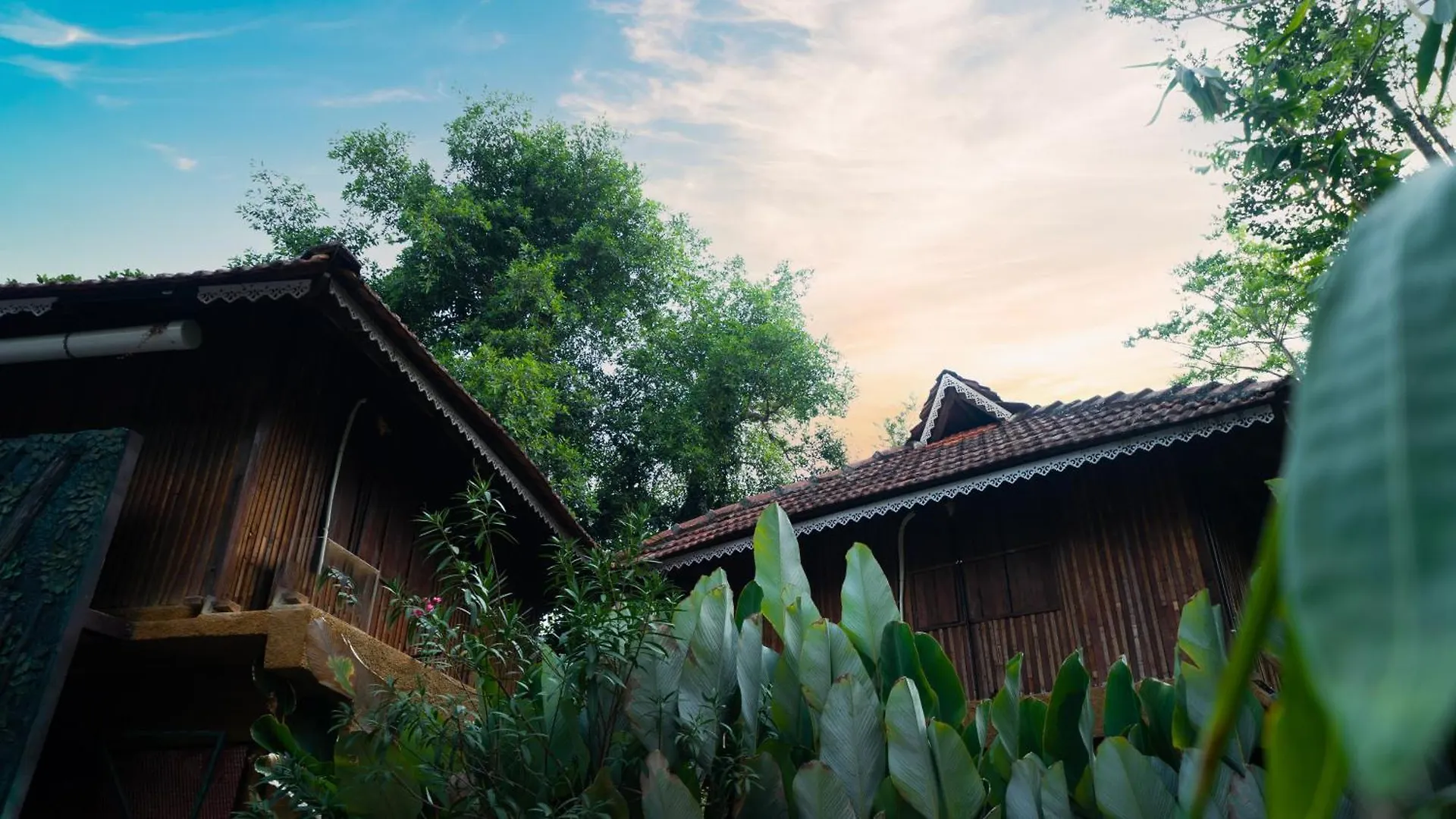 Mystery Maze Resort And Spa Wayanad