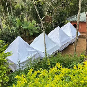 2* Resort Plantation Tent And Swimming Pool
