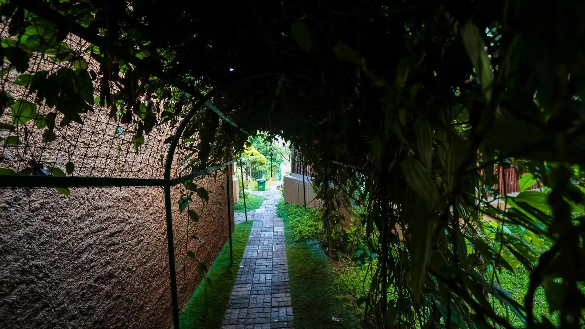 Mystery Maze Resort And Spa ワイナード